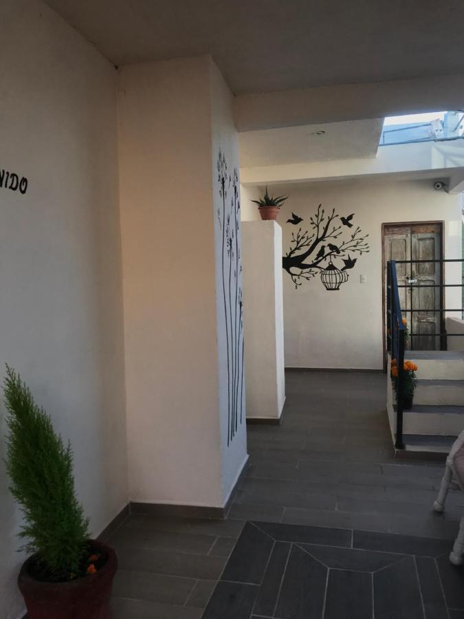 Casa Los Naranjos 산미겔데아옌데 외부 사진