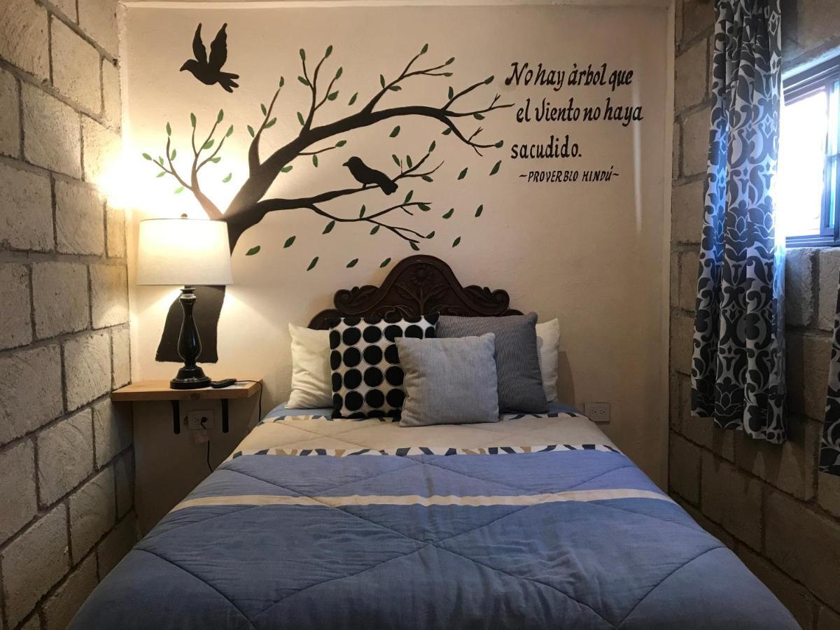 Casa Los Naranjos 산미겔데아옌데 외부 사진
